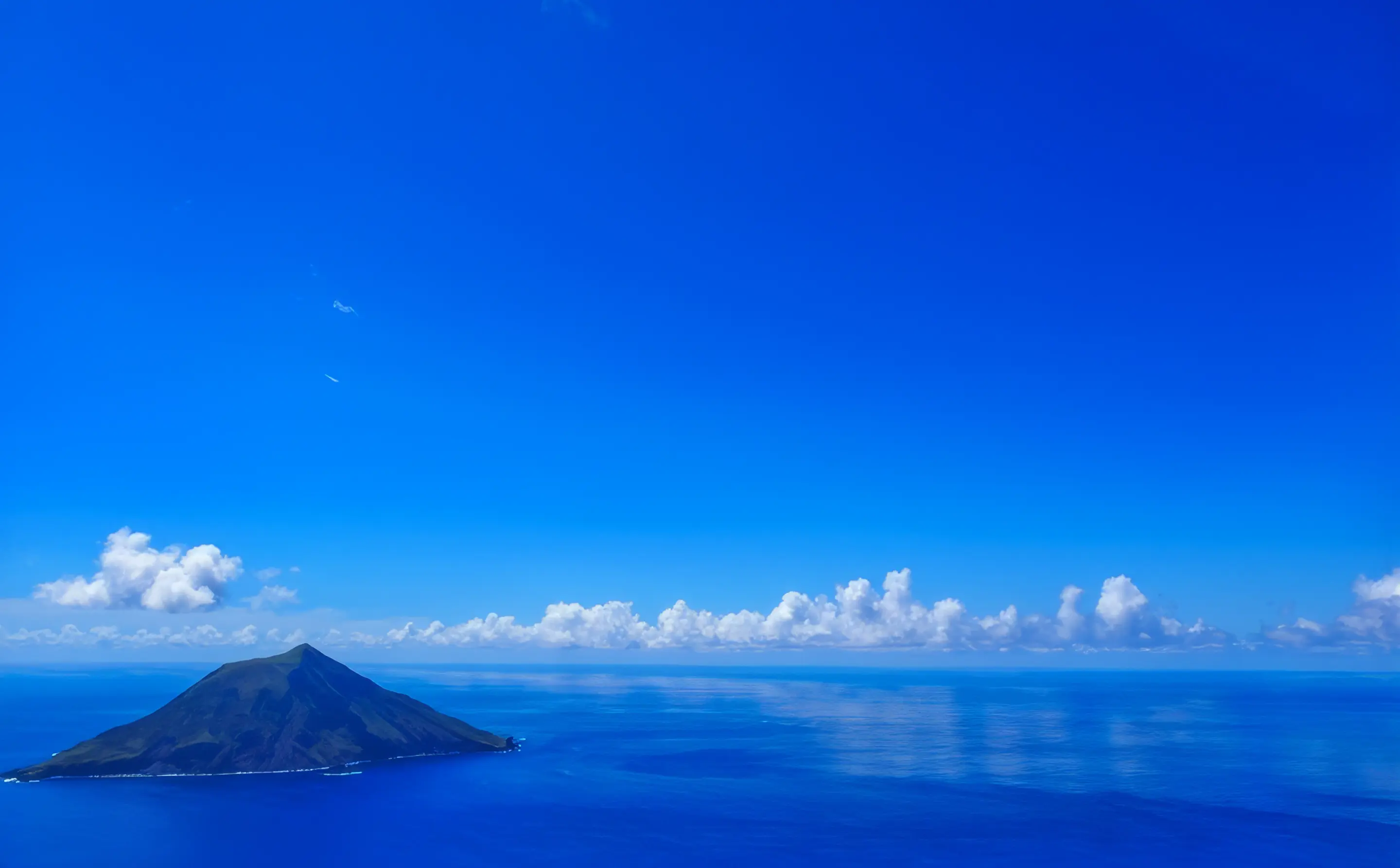 東京島しょ部求人サイトの診察風景写真1枚目