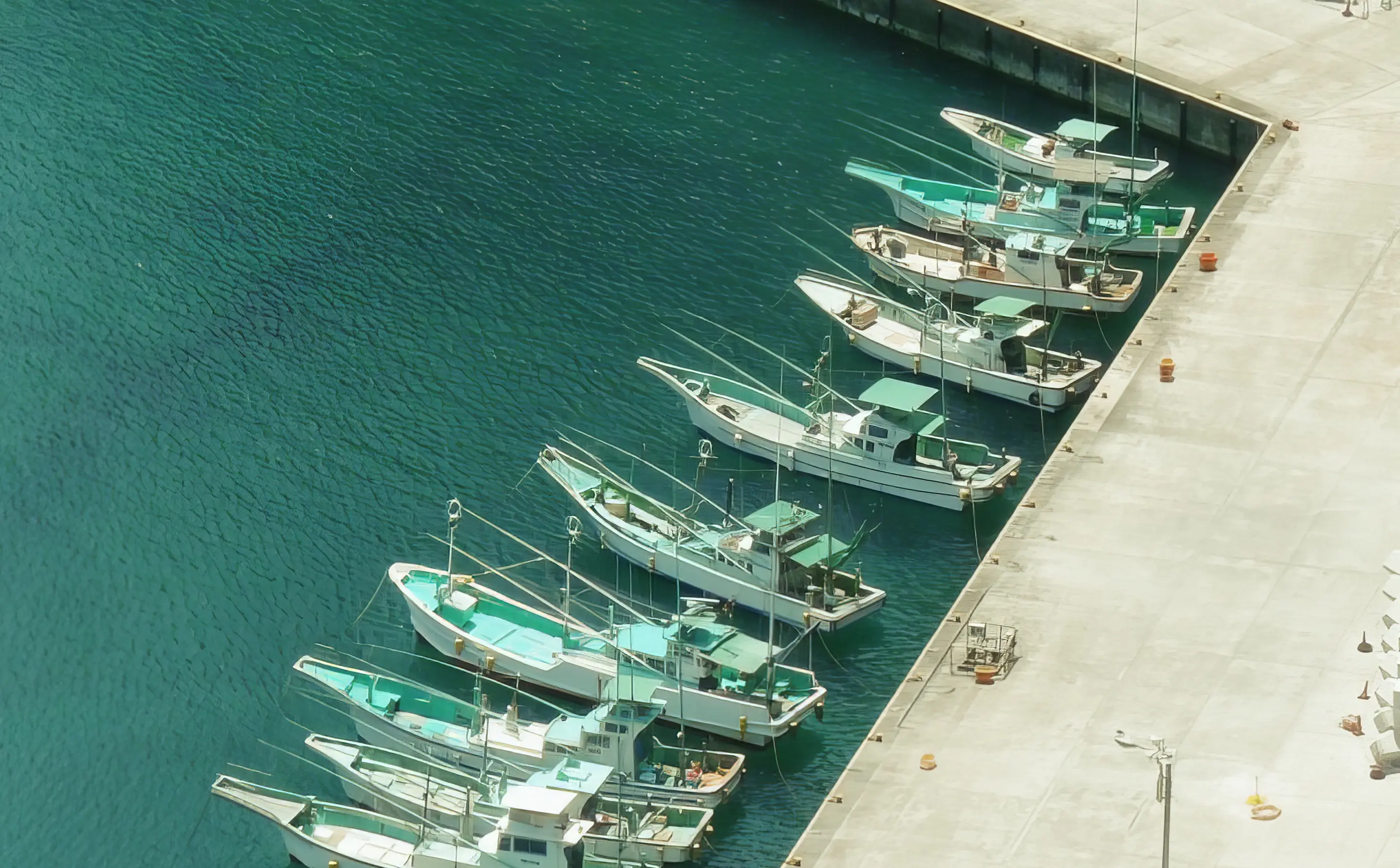 東京島しょ部求人サイトの診察風景写真2枚目